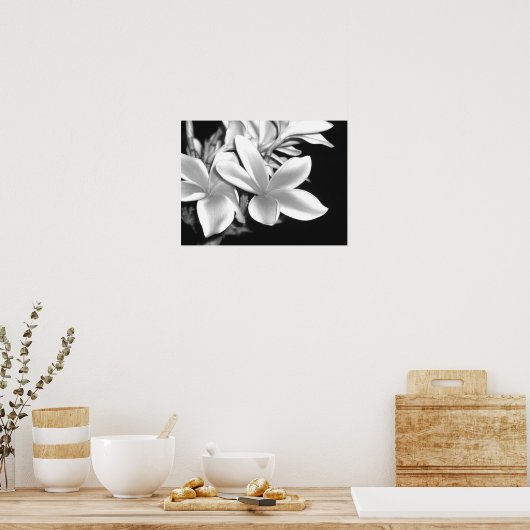 プルメリア ポスター (キッチン)