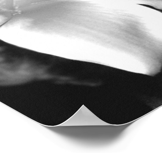 プルメリア ポスター (角)