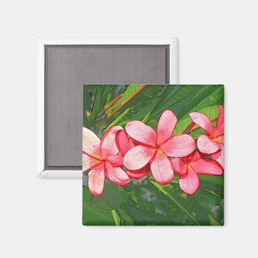 プルメリア マグネット (正面/裏面)
