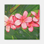 プルメリア マグネット (正面)