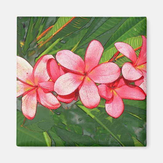 プルメリア マグネット (正面)