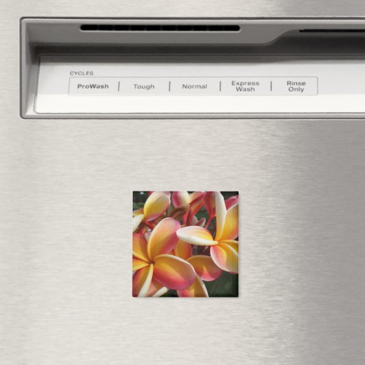 プルメリア マグネット (インサイチュ (食洗機))