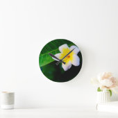 プルメリア ラウンド壁時計 (ホーム)