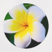 プルメリア ラベル (デザイン1)