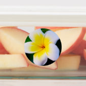 プルメリア ラベル (貼付)