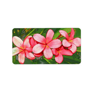 プルメリア ラベル