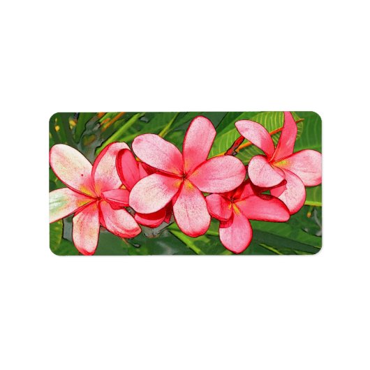 プルメリア ラベル (正面)