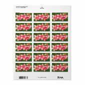 プルメリア ラベル (フルシート)