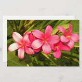 プルメリア 便箋 (正面/裏面)