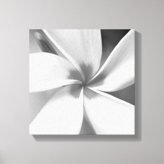 プルメリア – 白黒マクロポートレート キャンバスプリント (正面)