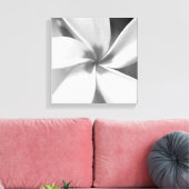 プルメリア – 白黒マクロポートレート キャンバスプリント (インサイチュ (リビング))