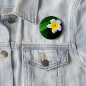 プルメリア 缶バッジ (インサイチュ)