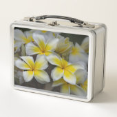 プルメリア、黄色の花写真 メタルランチボックス (正面)
