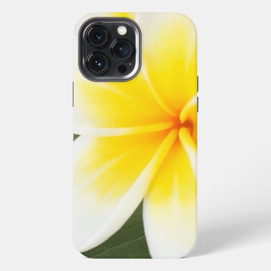 プルメリア Case-Mate サムスン携帯ケース iPhoneケース (裏面)