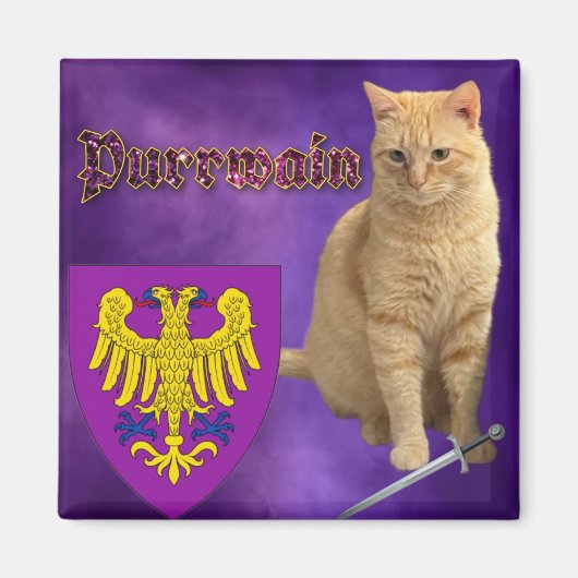 プルワイン磁石 マグネット (正面)