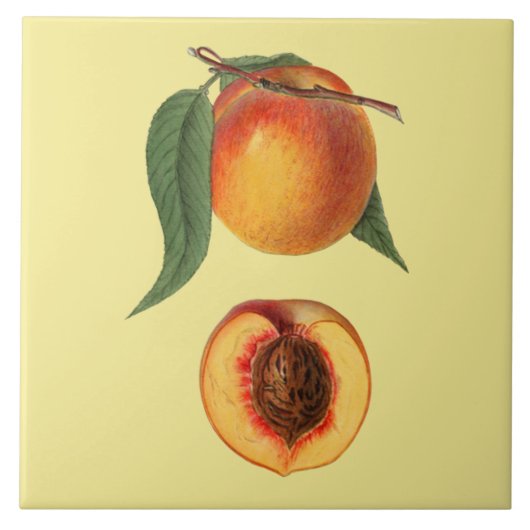 プルーナス・ペルシカ・ピーチ~ボタニカル~キッチン~任意の色 タイル (正面)