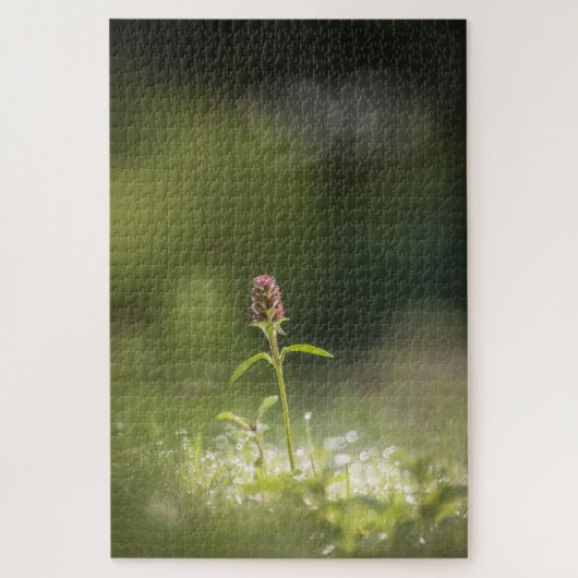 プルーネラフラワー自然写真 ジグソーパズル (縦)