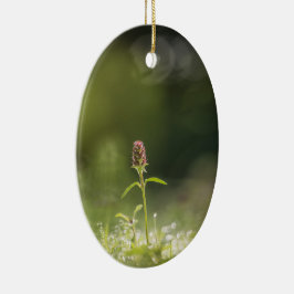 プルーネラフラワー自然写真 セラミックオーナメント