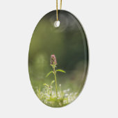 プルーネラフラワー自然写真 セラミックオーナメント (左)