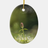 プルーネラフラワー自然写真 セラミックオーナメント (正面)