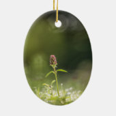 プルーネラフラワー自然写真 セラミックオーナメント (裏面)