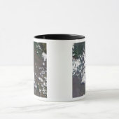 プルームはDRCのナイラゴーン火山から上昇する マグカップ (中央)