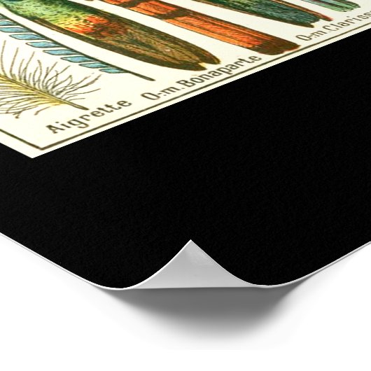 プルーム ポスター (角)