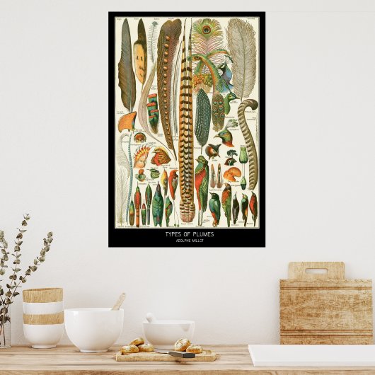 プルーム ポスター (キッチン)