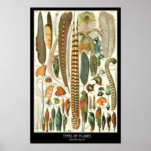 プルーム ポスター (正面)