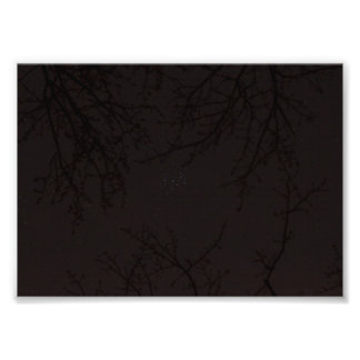 プレアデス(M45) フォトプリント