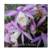 プレイオネ・ウィンドウシル・オーキッドの花 タイル (正面)