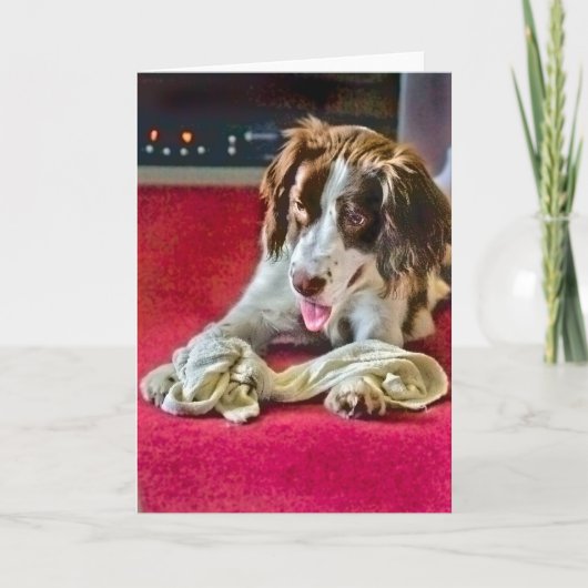 プレイタイムタイムタイムタイムタイムアウトカード シーズンカード (正面)