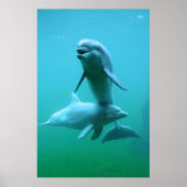 プレイタイム ポスター (正面)