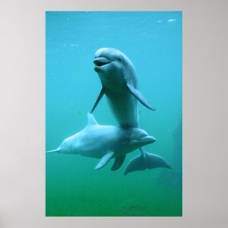 プレイタイム ポスター