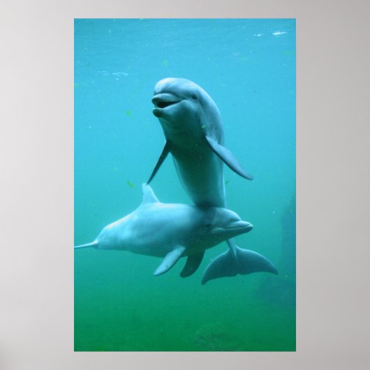 プレイタイム ポスター (正面)