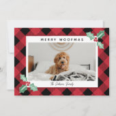 プレイドフレームホリーコーナーPet写真 シーズンカード (正面)