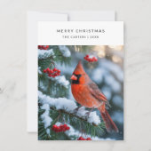 プレイド赤(鳥)ショウジョウコウカンチョウメリークリスマスバードフォトホリ シーズンカード (正面)