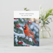 プレイド赤(鳥)ショウジョウコウカンチョウメリークリスマスバードフォトホリ シーズンカード (スタンド正面)