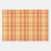 プレイド、タンポポと羽のギフトラップセット ラッピングペーパーシート (正面2)