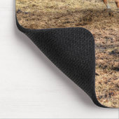 プレイファイティングパロミノ&ホワイトランチホース マウスパッド (コーナー)