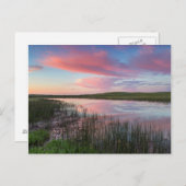 プレイリー池が輝く日の出の雲を映す ポストカード (正面/裏面)