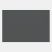 プレインオニックスプラチナムペイネズグレーシェード3トーン ラッピングペーパーシート (正面)