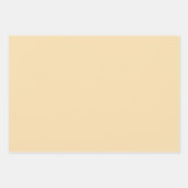 プレインゴールデン開花ピーチカラーシェードトーン3 ラッピングペーパーシート (正面3)