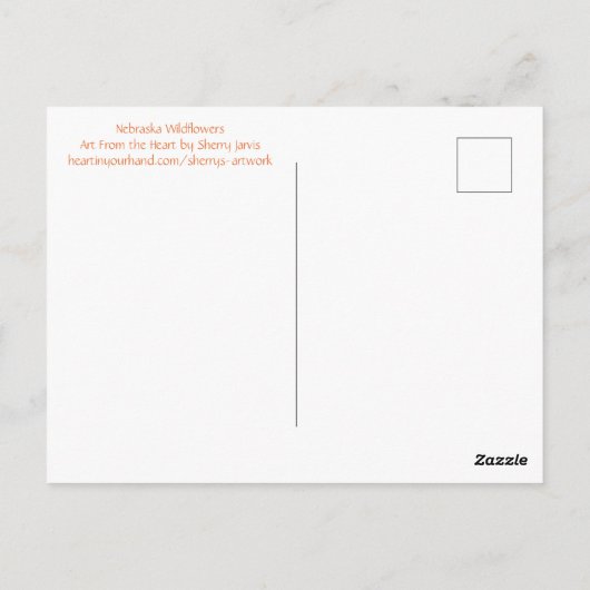 プレインズヒマワリのポストカード ポストカード (裏面)