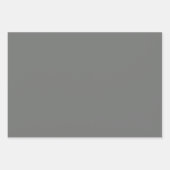 プレインネバダニッケルオールドシルバーグレーシェード3トーン ラッピングペーパーシート (正面2)