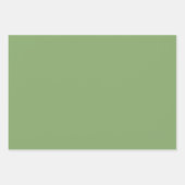 プレインピスタチオアスパラガスグリーンシェード3トーン ラッピングペーパーシート (正面3)