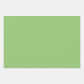 プレインピスタチオアスパラガスグリーンシェード3トーン ラッピングペーパーシート (正面)