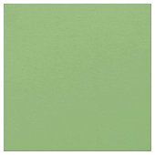 プレインピスタチオ ファブリック (クローズアップ)