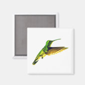 プレインベルドエメラルド付き冷蔵庫マグネット マグネット (正面/裏面)