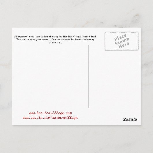 プレイ・オクラホマのはがき19rの鳥 ポストカード (裏面)